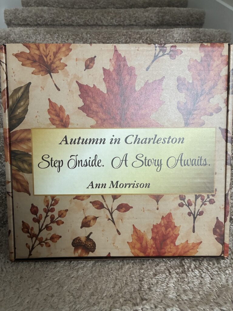 The large box containing a book PR package from author Ann Morrison